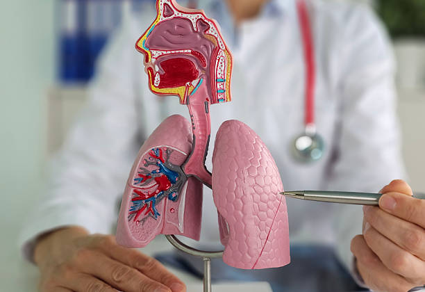 Pneumologia pediàtrica